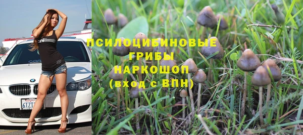 прущая мука Михайловка