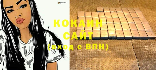 прущая мука Ельня