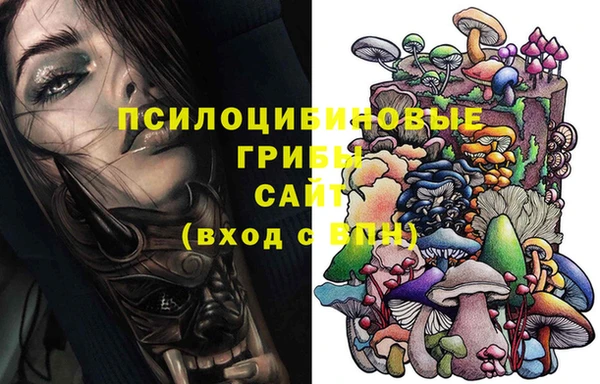крисы Михайлов