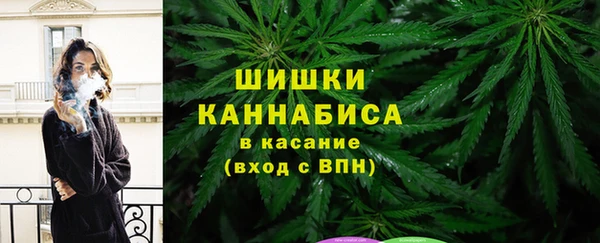 хмурый Михайловск