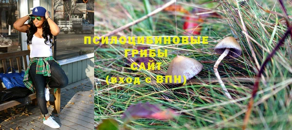 крисы Михайлов